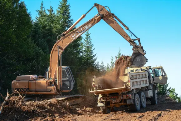 Casino Golden Crown Support